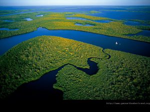 Con sus 7020 km de longitud, el río Amazonas (Perú, Colombia, Brasil) es el río más largo del mundo, y también el más caudaloso / Biblioteca de Investigaciones - WordPress