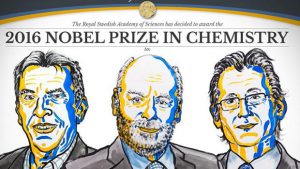 Los galardonados con el Nobel de Química - N. Elmehed / Real Academia Sueca de Ciencias