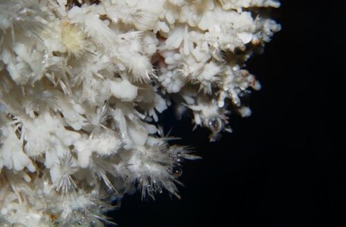 Fig. 5: Las antoditas, o flores de piedra, son unos de los espeleotemas más delicados y bellos ya que se forman de delgados cristales de aragonita.